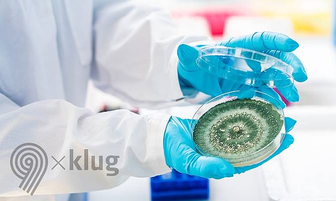 Eine Petrischale wird von zwei blau behandschuhten Händen geöffnet
