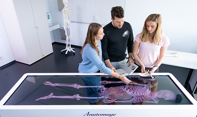 Drei Studierende lernen mit Hilfe des virtuellen Seziertisch