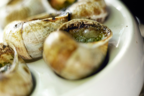 Weinbergschnecken auf Teller